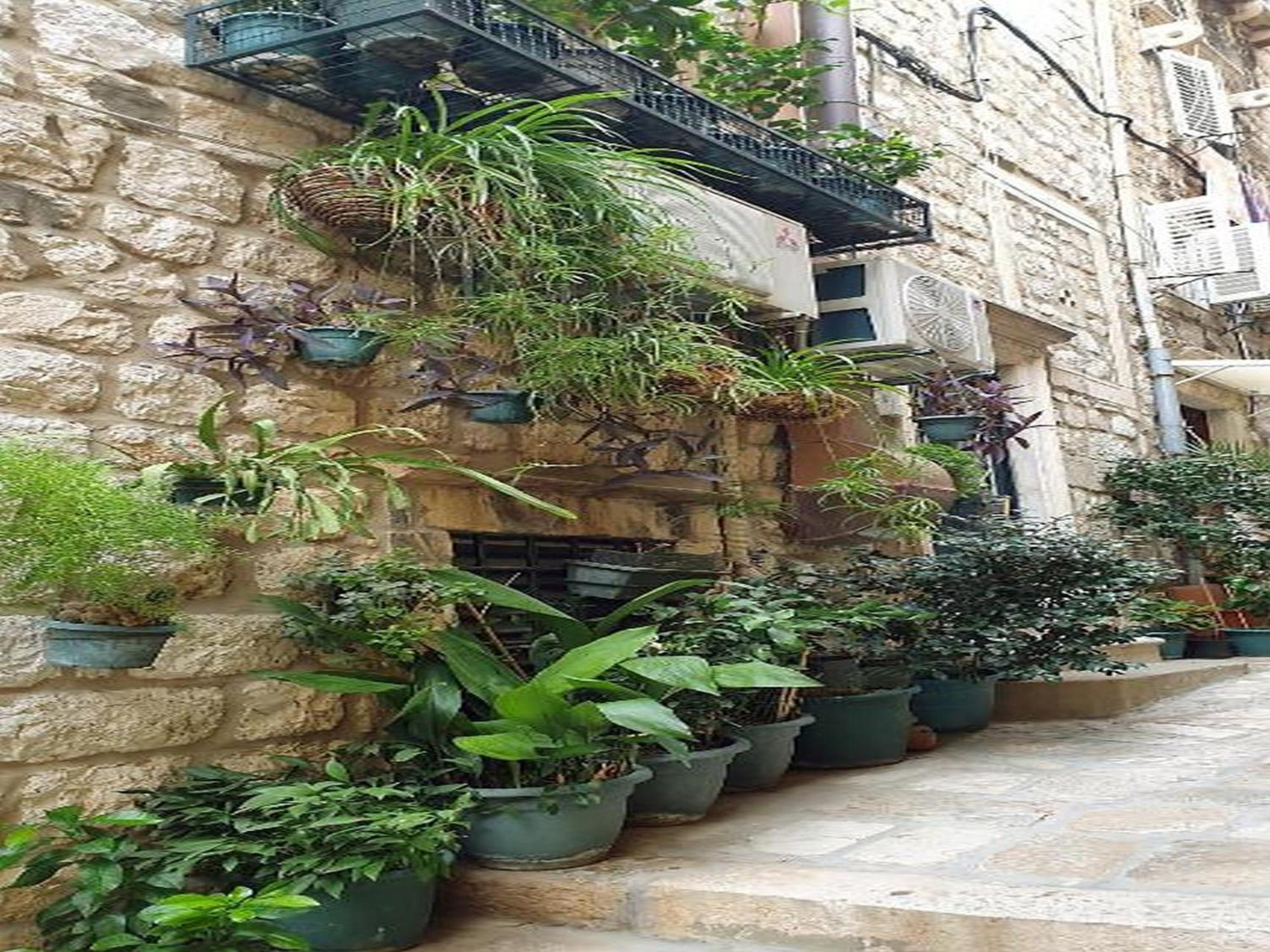 Pk Apartments - דוברובניק חדר תמונה